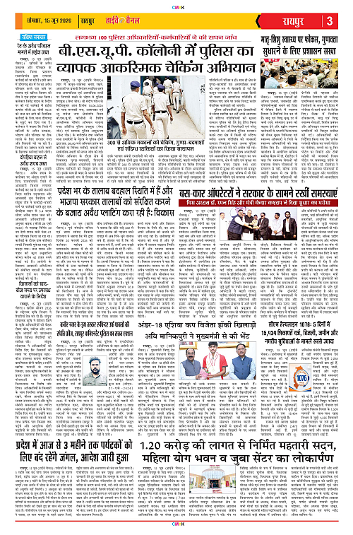 Page 3