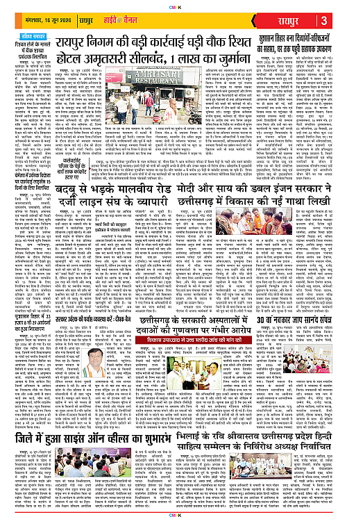 Page 3