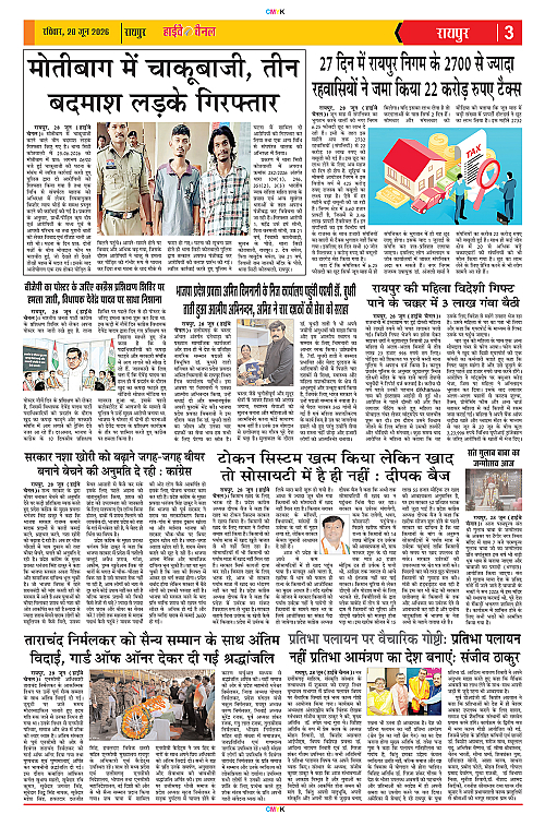 Page 3