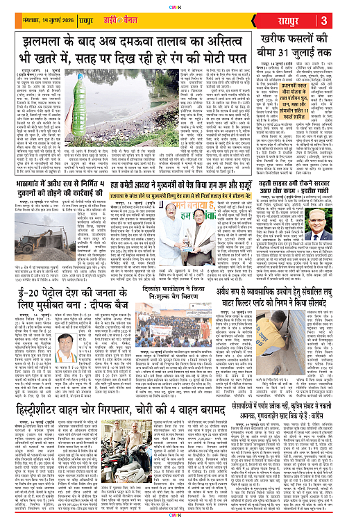 Page 3