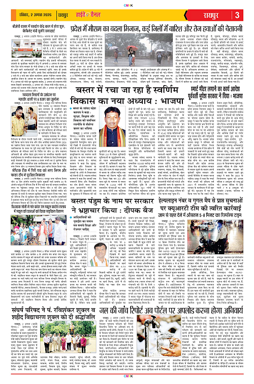 Page 3