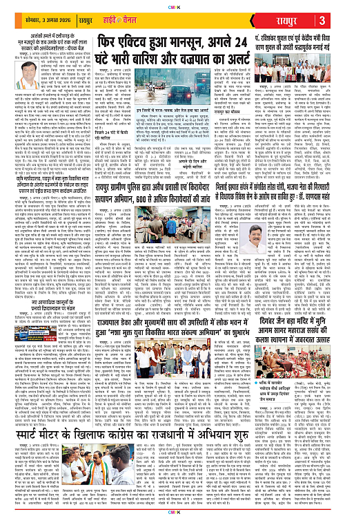 Page 3