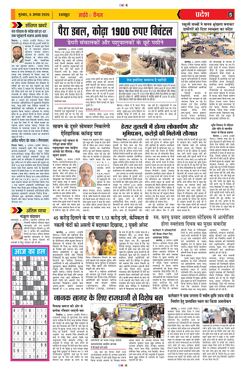 Page 5