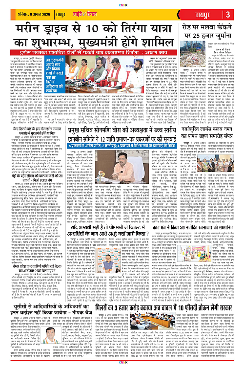 Page 3