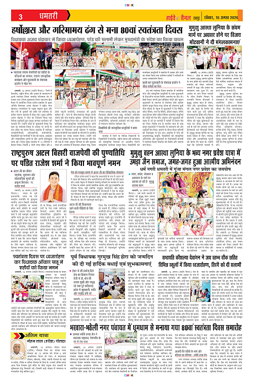 Page 3