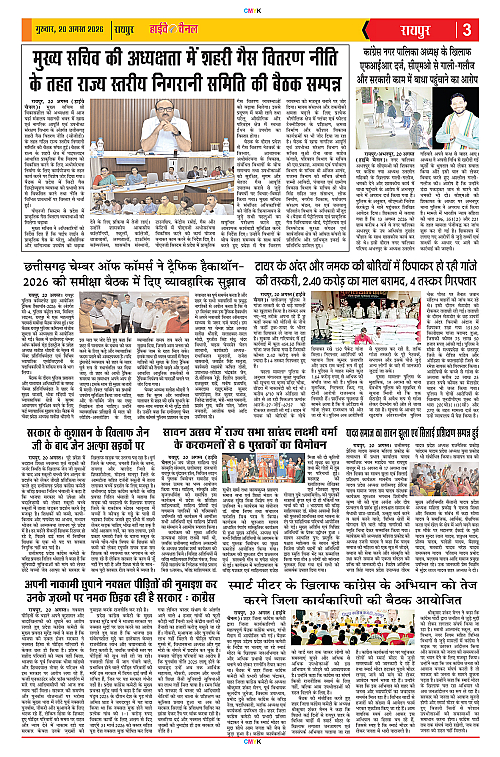 Page 3