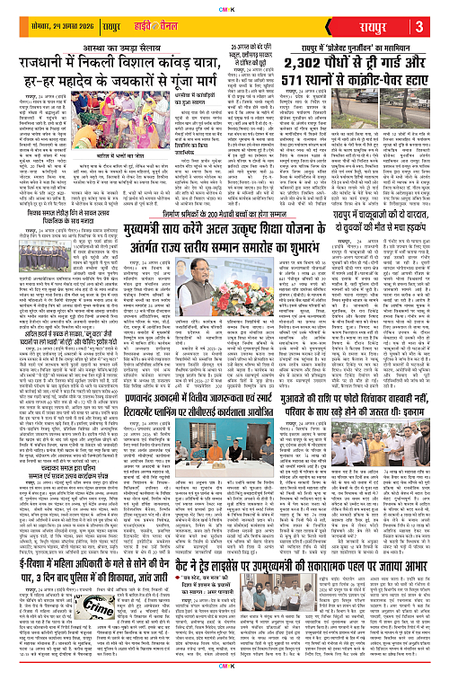 Page 3