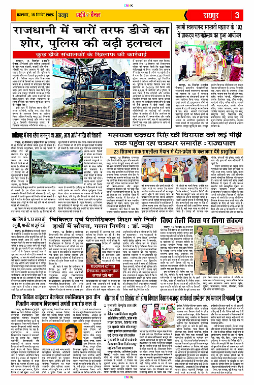 Page 3