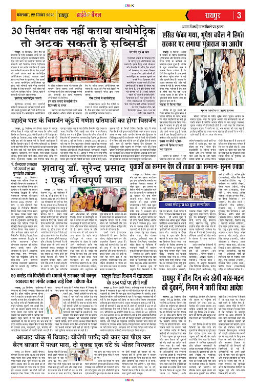 Page 3